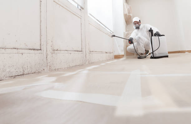 24/7 Emergency Black Mold Removal experts in Surry, VA